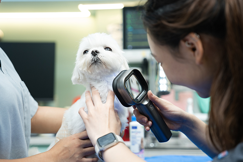 Advanced VetCare