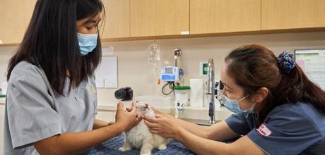 Advanced VetCare