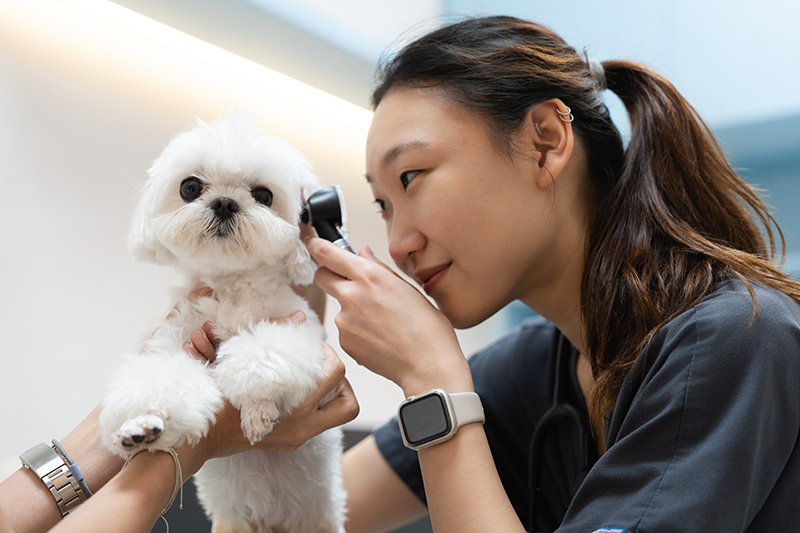 Advanced VetCare