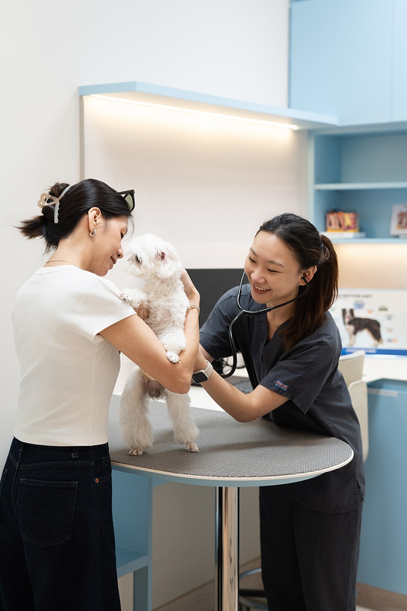 Advanced VetCare