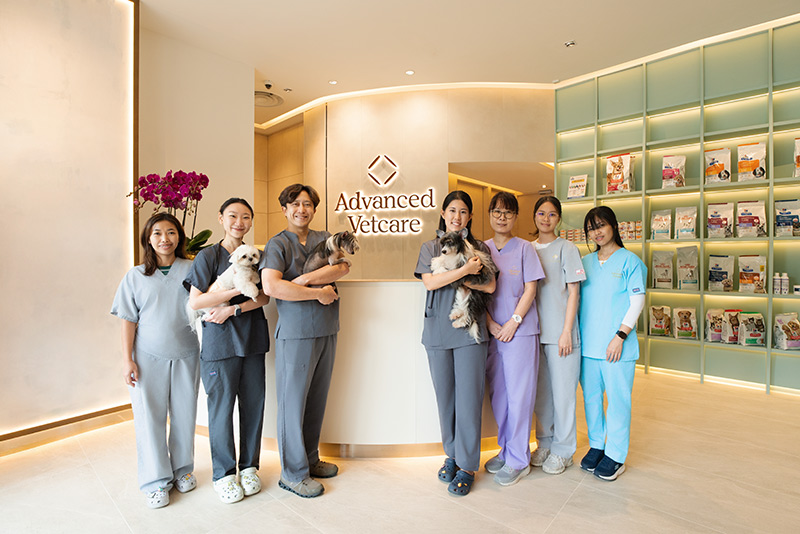 One-Stop Vet Clinic In Outram